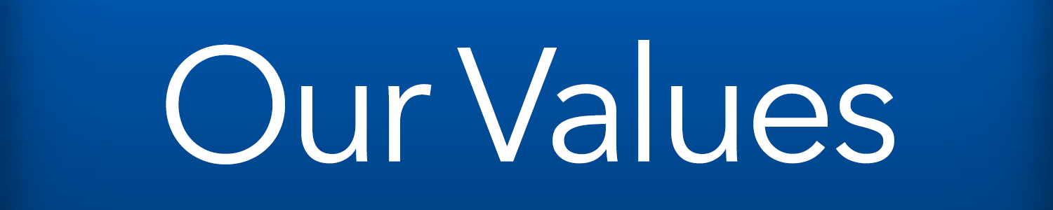 our values logo